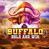 Buffalo Hold and Win